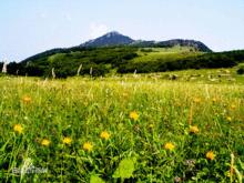 百花山國家級自然保護區