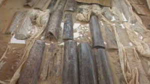 江西靖安大墓 江西靖安大墓