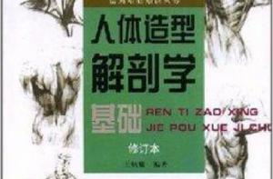 人體造型解剖學基礎 人體造型解剖學基礎