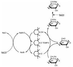 氧化纖維素 氧化纖維素