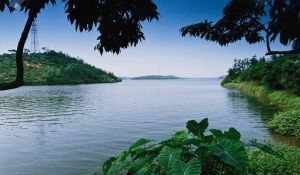 綠化覆蓋率超過了60%