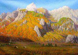 金剛山觀光地區 金剛山觀光地區