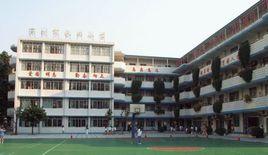 深圳羅湖水田國小 深圳羅湖水田國小