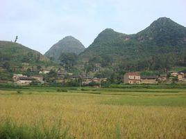 大西吉村 大西吉村