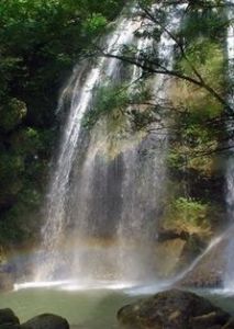 武漢九峰國家森林公園