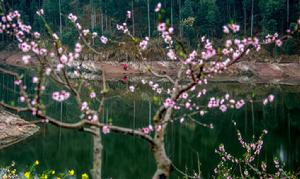 聖水湖桃花島 聖水湖桃花島