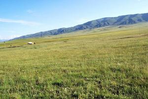 金銀灘草原 金銀灘草原