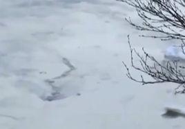 拉加爾河水怪 拉加爾河水怪