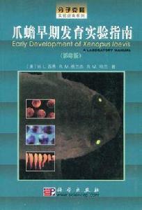 爪蟾早期發育實驗指南 爪蟾早期發育實驗指南