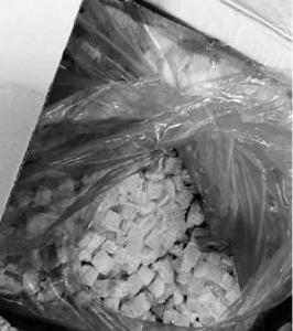 殭屍木瓜 殭屍木瓜