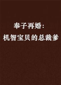 奉子再婚:機智寶貝的總裁爹 奉子再婚:機智寶貝的總裁爹