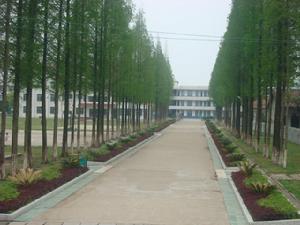 華容縣江洲中學 華容縣江洲中學