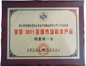 2011年度青少年戶外運動鞋類商品銷售第一