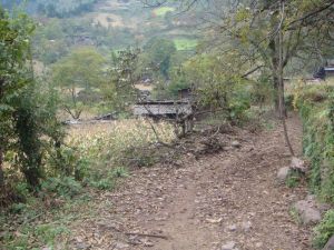 大栗坪村 大栗坪村