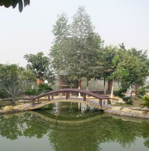 佛山市南海區西樵高級中學金魚池