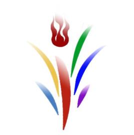 七彩網路 七彩網路