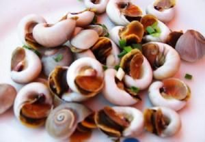 泡炒香螺片 泡炒香螺片