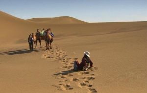 尋找阿依闊勒 尋找阿依闊勒