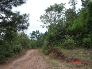 鹽水田自然村 鹽水田自然村