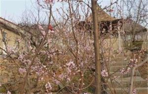 樂萬家農家樂 樂萬家農家樂