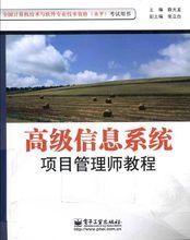 高級信息系統項目管理師教程