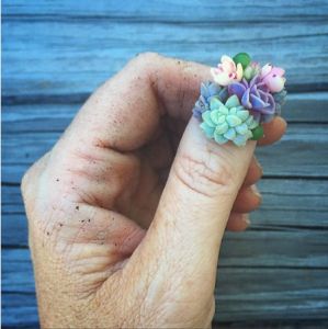 多肉指甲 多肉指甲