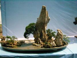 水石盆景 水石盆景