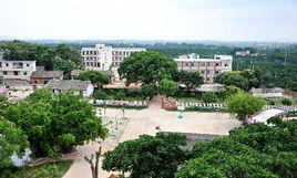 大塘埠鎮 大塘埠鎮