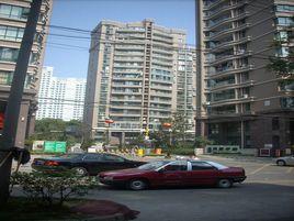 金橋·鳳凰華庭 金橋·鳳凰華庭