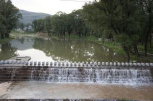 木井鄉楊莊子村 木井鄉楊莊子村