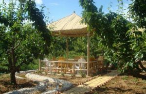 石門湖生態農莊 石門湖生態農莊