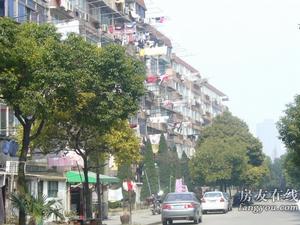 金橋路226弄 金橋路226弄