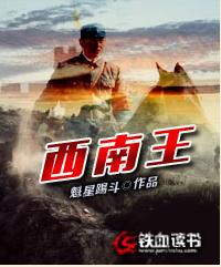西南王 西南王