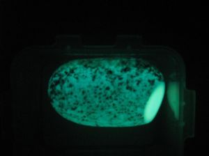 郎斯代爾 郎斯代爾