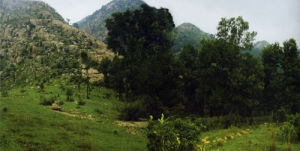 蓮青山生態旅遊區 蓮青山生態旅遊區