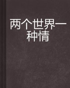 兩個世界一種情 兩個世界一種情