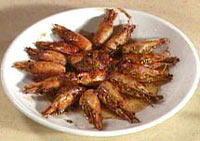 美味虎頭蝦 美味虎頭蝦