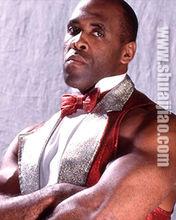 virgil[退役摔角手]