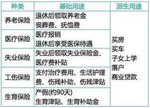 社保[社會保障制度的一個最重要的組成部分]