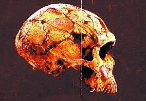 尼安特人 尼安特人