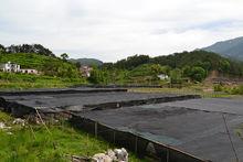 大別山靈芝基地