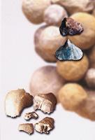 泥河灣舊石器時代遺址群