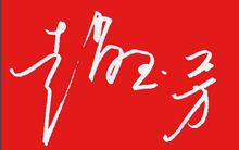 趙玉芳[本山藝術學院工作人員（趙本山長女）]