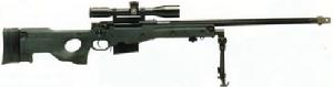 AWM .300 Win Mag口徑型