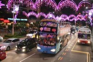 熱帶聖誕 熱帶聖誕