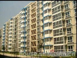 格蘭晴天 格蘭晴天