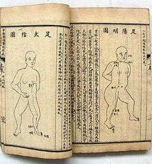 大力金剛掌 大力金剛掌