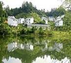 泰寧金陽明星度假山莊 泰寧金陽明星度假山莊