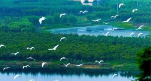 鏡湖國家城市濕地公園
