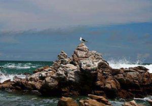 厄加勒斯國家公園 厄加勒斯國家公園